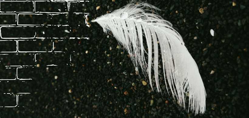 un feather en el piso