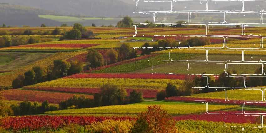 diferentes campos a la distancia