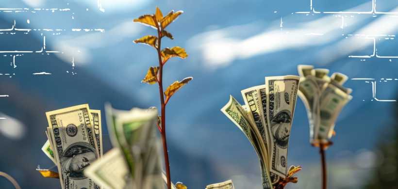 una planta con dinero impantada en ellas